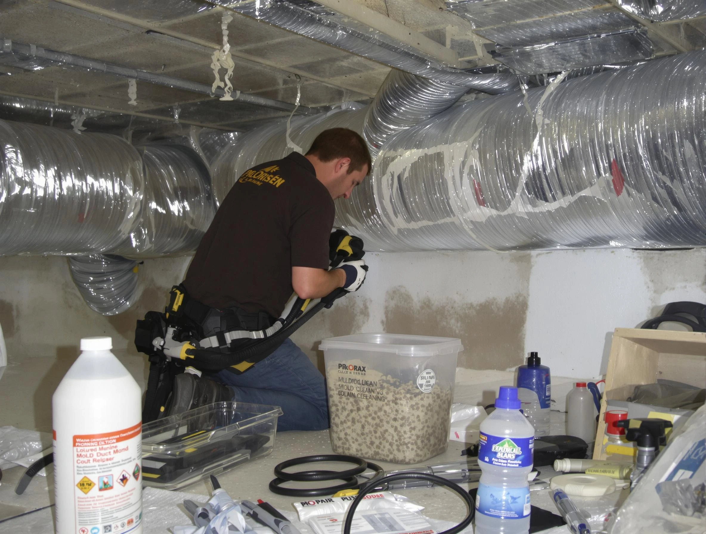 Citrus Park Air Duct Cleaning specialist performing professional mold removal from air ducts in Citrus Park